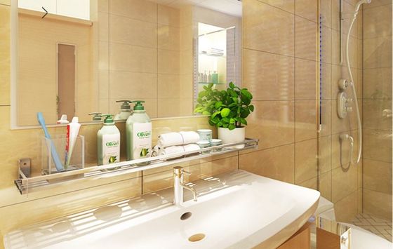 Polished Smooth Wall Mounted Bathroom Rack No Visible Connectors Or Hanging Hardware